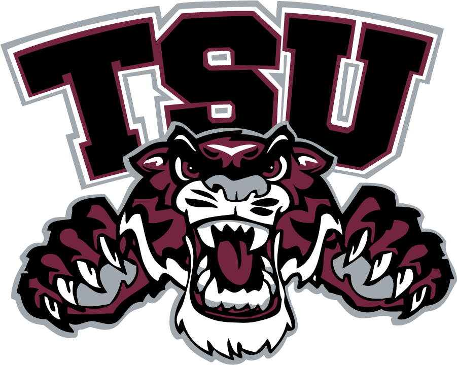 Texas Southern Tigers 1998-2018 Secondary Logo iron on transfers for T-shirts